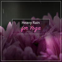 Sheltering from the Rain - Help Me Sleep, Sleep Tight, Sound Sleeping & Sound Sleeping & Help Me Sleep & Sleep Tight