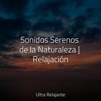 Armonía Para La Vida - Música de la Naturaleza & Sueños Triplete & Sueño Lucido