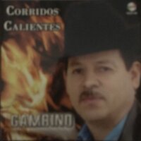 La Venganza Del Plebe - Gambino