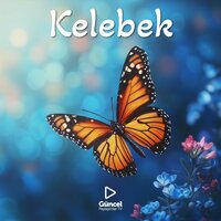 Kelebek (Enstrümantal) - Güncel Paylaşımlar TV