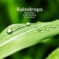Raindrops: Peaceful Rain with Thunder in the Background - Natural Sounds Music Academy