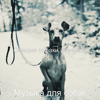 Моменты (Спящие собаки) - Музыка для собак