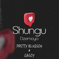 Waya Waya - Pretty Blxqson & Gasoy