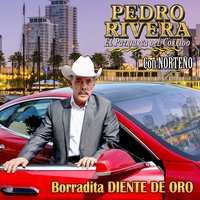 Miel y Veneno - Pedro Rivera
