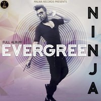 Evergreen - Ninja