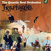San Sebastian Strut - The Quantic Soul Orchestra & Quantic