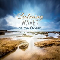 Water Sound Therapy - Calming Water Consort & Zen Meditation Music Academy