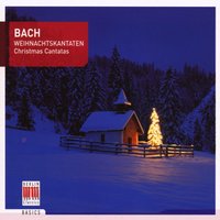 "Du wahrer Gottes und Marien Sohn" - Peter Schreier, Neues Bachisches Collegium Musicum & Hans-Joachim Rotzsch & Neues Bachisches Collegium Musicum & Hans-Joachim Rotzsch & Johann Sebastian Bach
