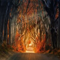 Mystical - Alonzo