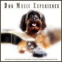 Canon in D - Guitar Ocean Waves - Dog Music Experience & Sleeping Music For Dogs & Pet Care Club
