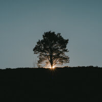Burn - Theny