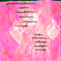 tolypeutine - Random Words & Computer Poetry Reading & Phloide