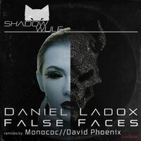 Useful Pain - Daniel Ladox & David Phoenix