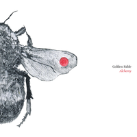 Enemy Lines - Golden Fable