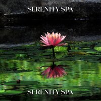 Yoga Garden - Reiki Healing Unit
