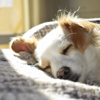 Zen Waters - Sleep Music & REIKI & Baby Sleep Through the Night