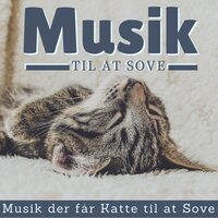 Afslapningsmusik - Petterapi