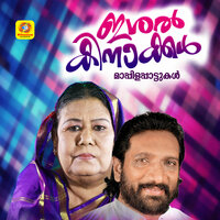 Aanandhamohanam Nin Swapnam - Sibella