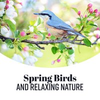 Overcome Stress - Relaxation Music Guru