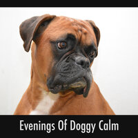 Doggy Sunrise Relaxation Soundtrack - Dog Sleep Relaxation