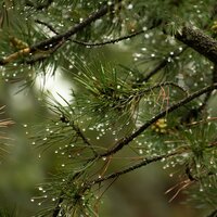 Modos Más Suaves - Unidad de música zen relajante & meditación Interna & Sonidos de la Naturaleza Relax
