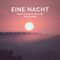 Durch die Nacht - Nadine Hauke