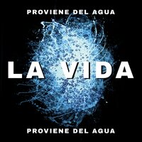 Lluvia en el Jardín Secreto - Academia de Sonidos de la Naturaleza para Dormir