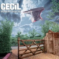 Poshinalagweedy - Cecil