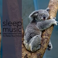 Midnight - Easy Sleep Music & Sleep Music Dreams