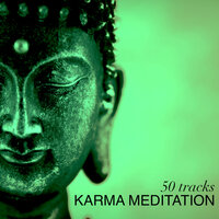 Shamanic Rain - Lama Monk & Asian Meditation Music Collective & Asian Meditation Music Collective & Lama Monk