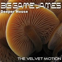 Loss For Words - Big Game James