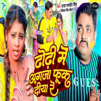 Dhodi Me Agja Fuk Diya Re - Raja Randhir Singh & Priyanka Singh Chauhan