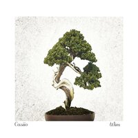 Wim - Casiio