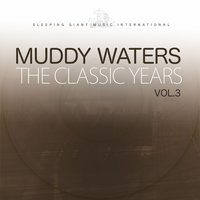 Lonesome Day - Muddy Waters