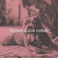 Чувство (Дрессировка собак) - Музыка для собак