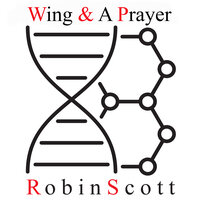Peace with You - Robin Scott & M