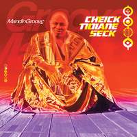Interlude 2 - Cheick Tidiane Seck