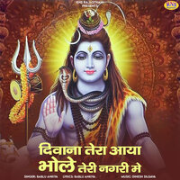 Deewana Tera Aaya Bhole Teri Nagari Me - bablu ankiya