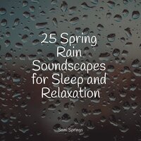 Shelter Rains - Study Power & Deep Sleep Brown Noise & Musique Zen Garden