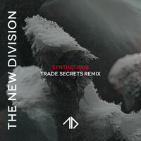 Synthetique - The New Division & Trade Secrets