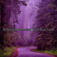 Оптимизация медитации - White Noise Research