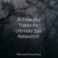 Song of the Moon - Meditative Music Guru & Massage & Música Zen Relaxante