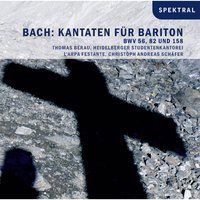Ich habe genug BWV 82 - Aria: Ich freue mich auf meinen Tod - Heidelberger Studentenkantorei & Thomas Berau & L'Arpa Festante & Christoph Schäfer & Johann Sebastian Bach