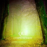Pocification - Que