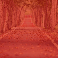 Dream Like Rejuvenation - Boutique Hotel Music