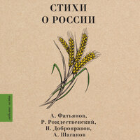 Стихи о России. Часть 45 - Роман Покрышкин