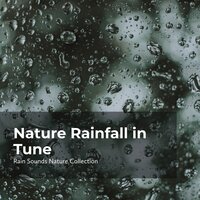 Gloomy Tropical Woods - ASMR Rain Sounds & Rain Sounds Nature Collection & Sleepy Rain