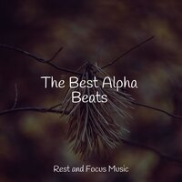 Peaceful Cabins - Musica relajante & Bedtime Baby & Relaxing Spa Music