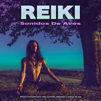 Música de spa - Música tranquila - REIKI & Reiki Armonía & Sonidos de Aves