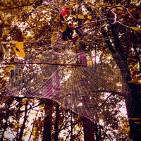 Elevated - Keith Jenkins